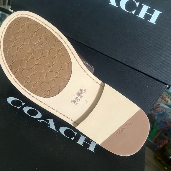 Unisex Sandals - Picture 5 of 6